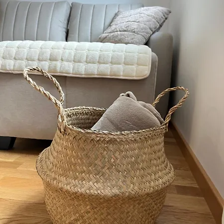 Apartment Vidik