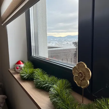 Vidik Apartment *