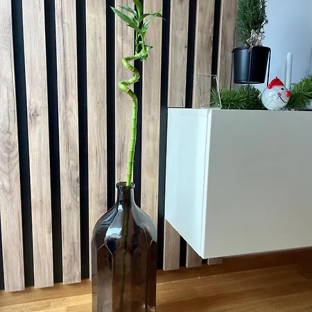 Vidik *
