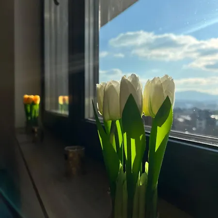 Vidik